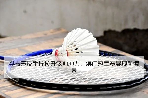 樊振东反手拧拉升级前冲力，澳门冠军赛展现新境界